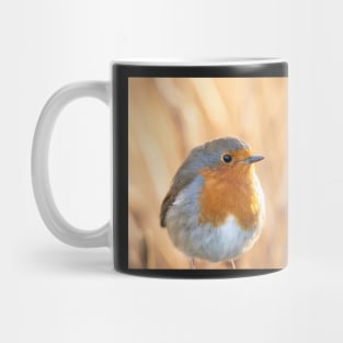 Robin redbreast in gold Mug